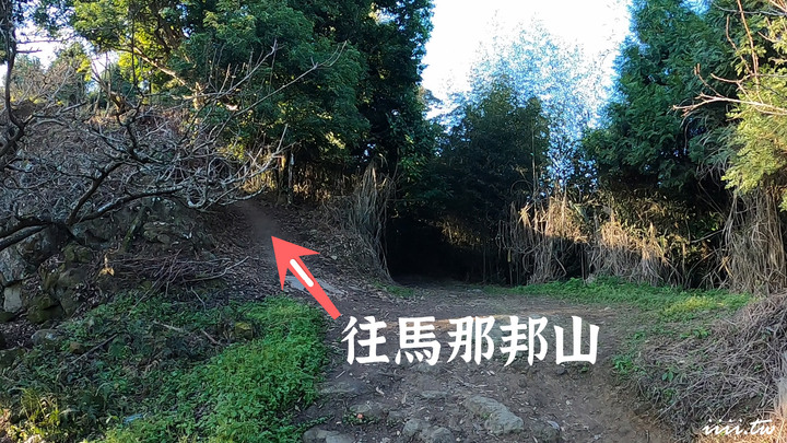 賞楓聖地・馬那邦山Y字連走細道邦山