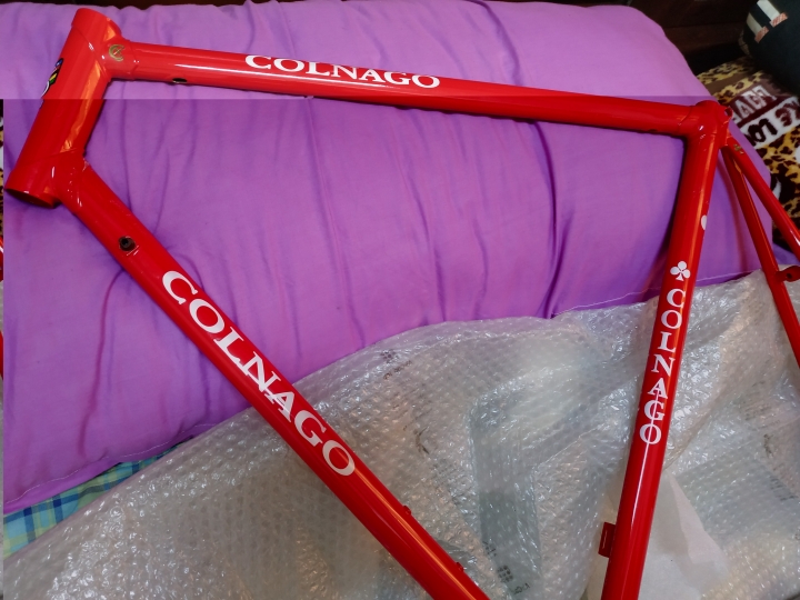 Colnago