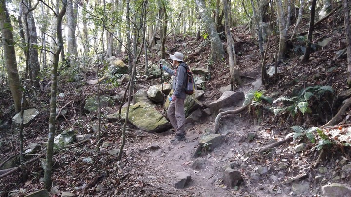 [樂山童盟] [台中和平] 谷關七雄-屋我尾山(大雪山林道登山口31.2K)