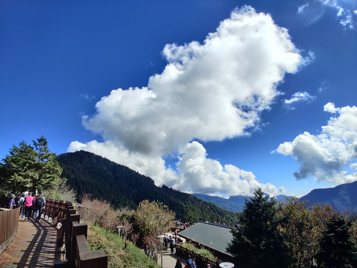 【小惡魔慶牛年】太平山莊 ◆賞星空、觀日出、曬帥照、吃美食◆ 多種夢想一次滿足!