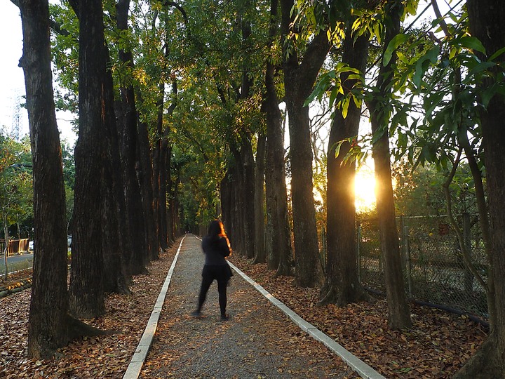 【小惡魔慶牛年】新威森林公園|茂林國家風景區管理處 — 傳說中有著異國風情的絕美婚紗秘境 — 牛年行春之旅第3站
