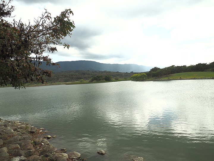 【小惡魔慶牛年】池上 大坡池 — 找尋夢想中的池上垂綸 — 鼠末牛初之防疫返鄉之旅第9站