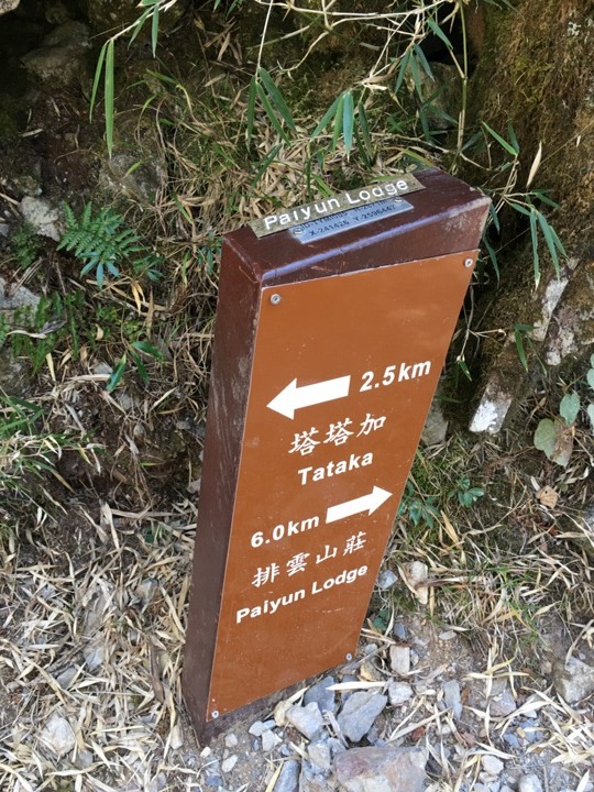 一輩子只「爬」一次的玉山前峰
