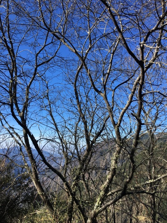 一輩子只「爬」一次的玉山前峰