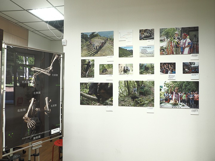 【小惡魔慶牛年】第二代行動郵車、臺灣黑熊教育館、舊玉里國小 — 在全臺最大鎮行動郵車與黑熊保育介紹 — 鼠末牛初之防疫返鄉之旅第7站