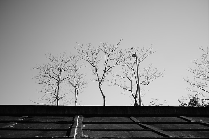 Kamlan 32mm f/1.1 評測報告|可攻可守的平價大光圈鏡頭!