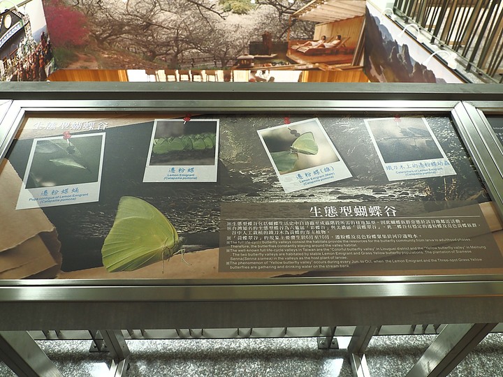 【小惡魔慶牛年】新威森林公園｜茂林國家風景區管理處 — 傳說中有著異國風情的絕美婚紗秘境 — 牛年行春之旅第3站