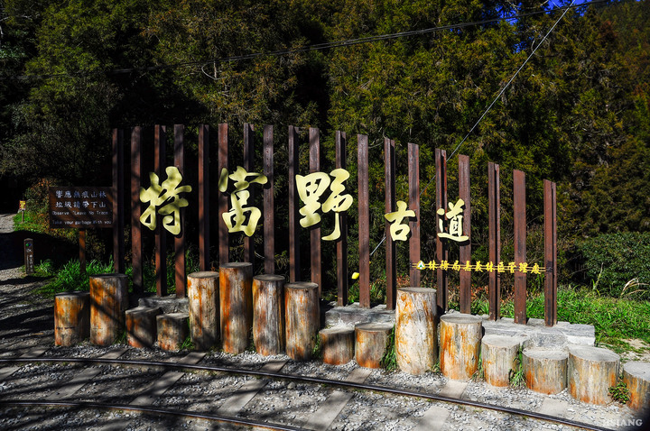點我看大圖 塔塔加-特富野-台18阿里山