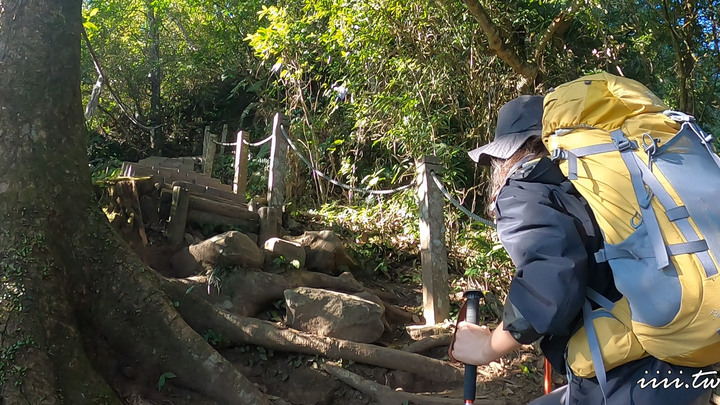 賞楓聖地・馬那邦山Y字連走細道邦山