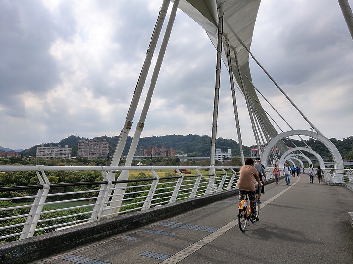 新店陽光橋河津櫻~U12+