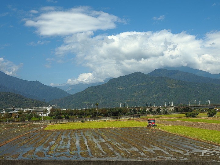 【小惡魔慶牛年】富里 舊東里火車站|東里鐵馬驛站 — 感受花東縱谷、稻米原鄉的天寬地濶 — 鼠末牛初之防疫返鄉之旅第8站