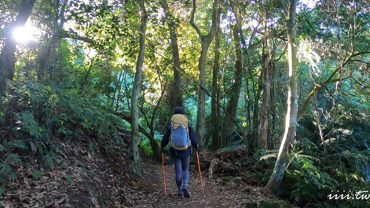 賞楓聖地・馬那邦山Y字連走細道邦山