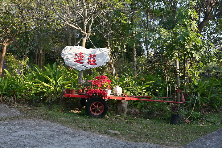 新埤鄉獅頭社區大葉欖仁綠色隧道，和來義鄉南和村連莊景觀餐廳。