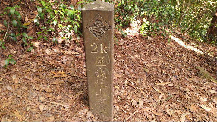 [樂山童盟] [台中和平] 谷關七雄-屋我尾山(大雪山林道登山口31.2K)
