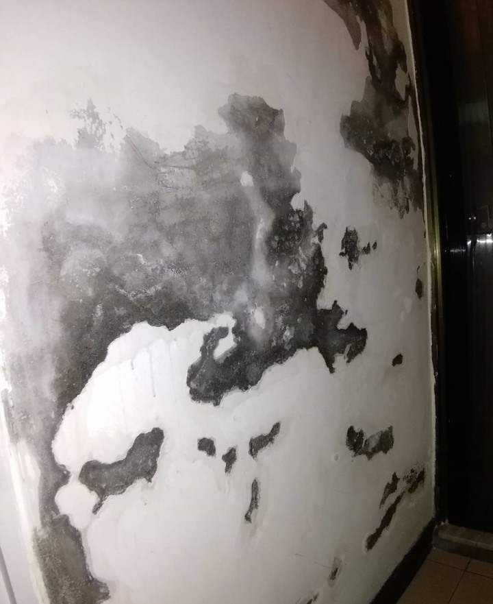 壁癌DIY處理成就GET!