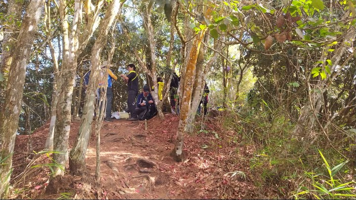[樂山童盟] [台中和平] 谷關七雄-屋我尾山(大雪山林道登山口31.2K)