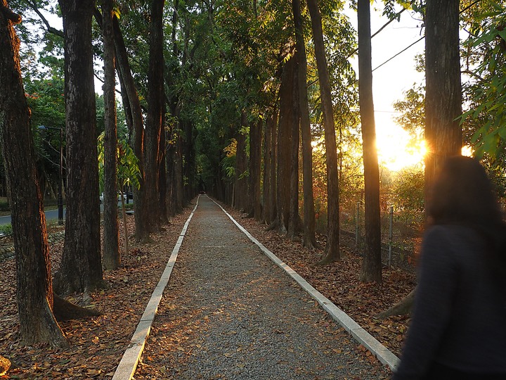 【小惡魔慶牛年】新威森林公園|茂林國家風景區管理處 — 傳說中有著異國風情的絕美婚紗秘境 — 牛年行春之旅第3站