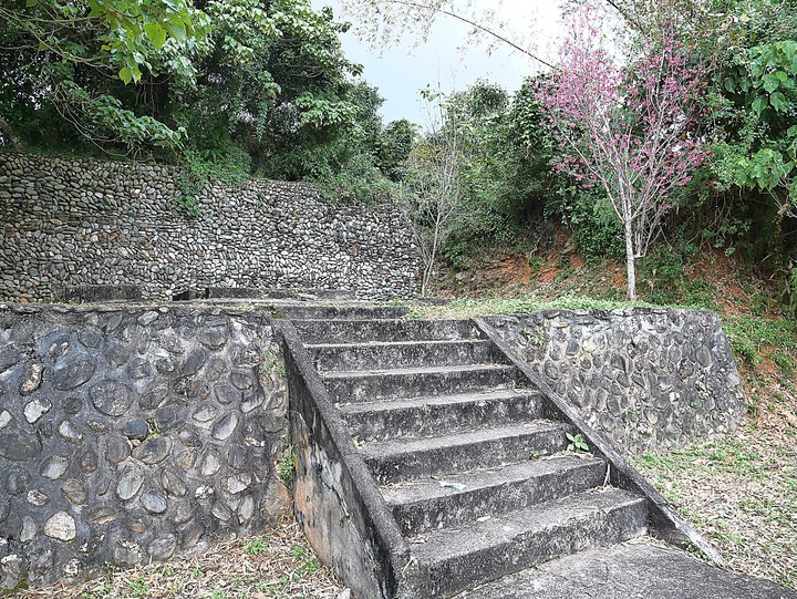 【小惡魔慶牛年】花蓮 玉里 神社殘蹟 — 2座鳥居與17座石燈籠，彷彿一秒到日本 — 鼠末牛初之防疫返鄉之旅第4站