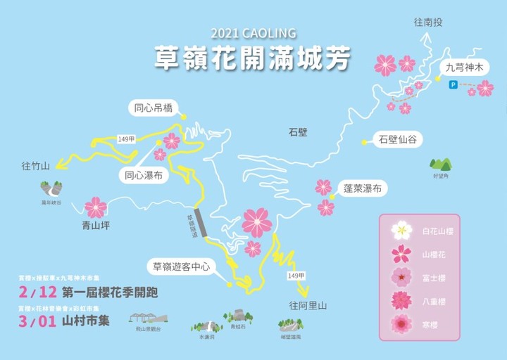 2公里櫻花海～草嶺櫻花季