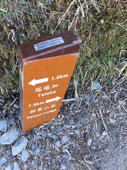 一輩子只「爬」一次的玉山前峰