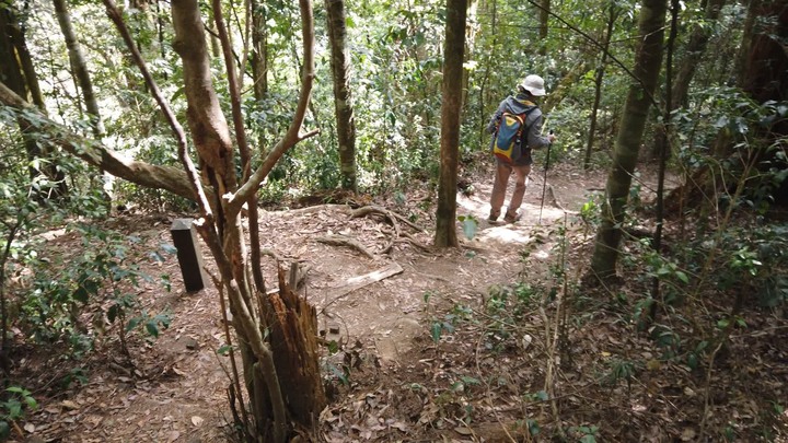 [樂山童盟] [台中和平] 谷關七雄-屋我尾山(大雪山林道登山口31.2K)