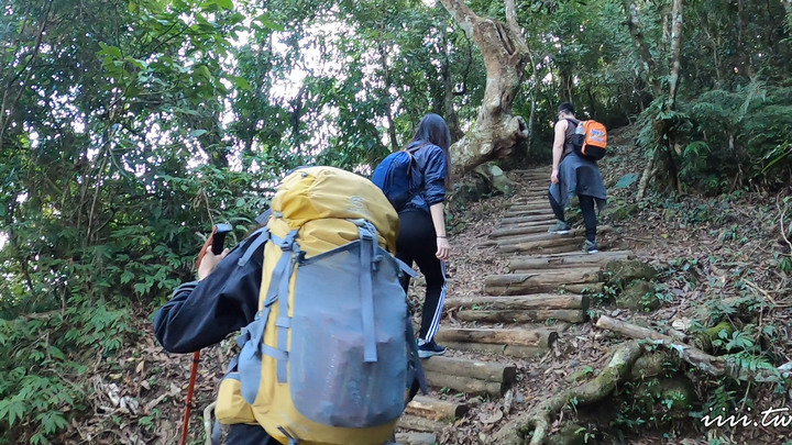 賞楓聖地・馬那邦山Y字連走細道邦山