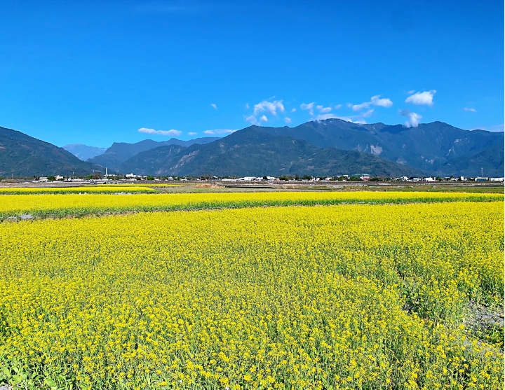 花东四小横,光复-鹿野