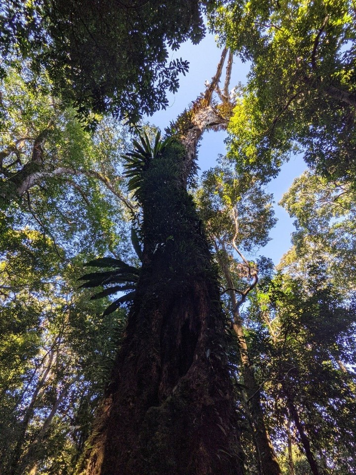只要有呼吸就一直愛你-高島縱走
