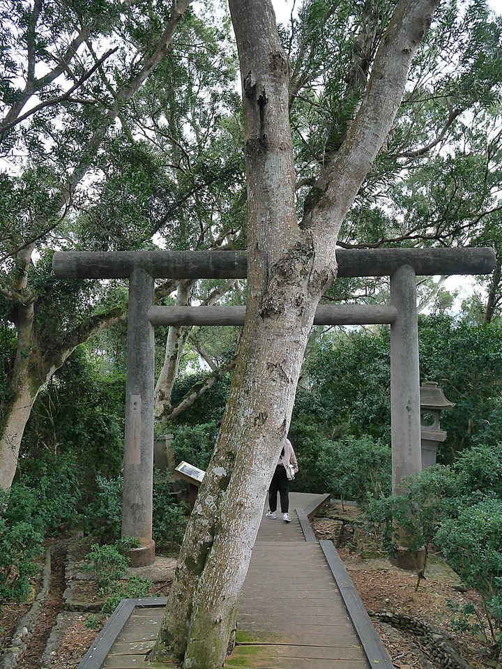 【小惡魔慶牛年】花蓮 玉里 神社殘蹟 — 2座鳥居與17座石燈籠，彷彿一秒到日本 — 鼠末牛初之防疫返鄉之旅第4站