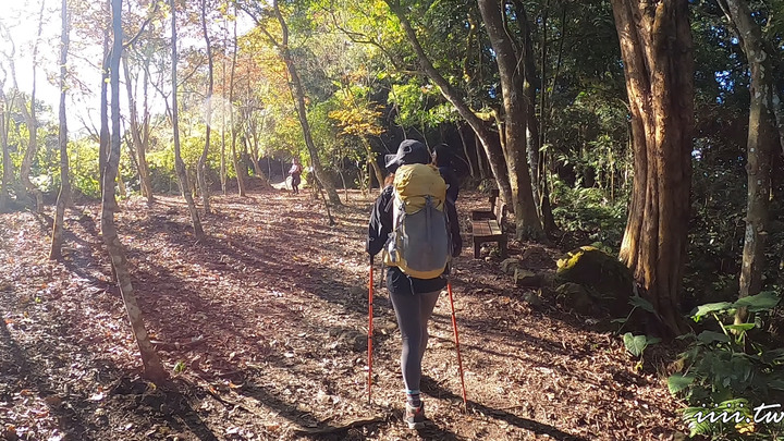 賞楓聖地・馬那邦山Y字連走細道邦山