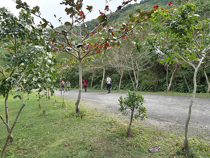 【小惡魔慶牛年】獅子鄉 雙流國家森林遊樂區 — 免戴口罩,儘情享受無限量芬多精與負離子 — 鼠末牛初之防疫返鄉之旅第15站