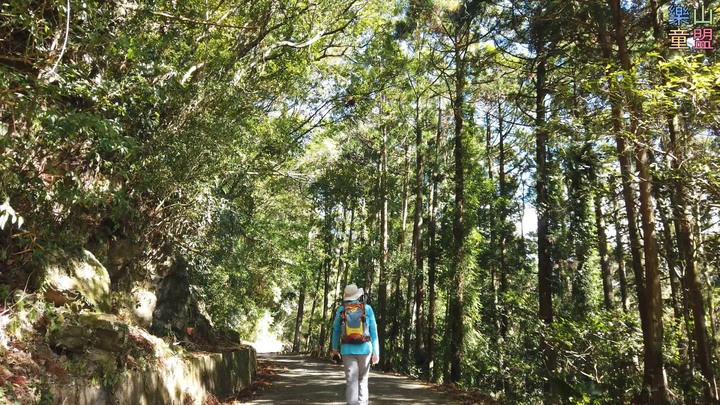 [樂山童盟] [新竹尖石] 水田林道全線-鴛鴦谷瀑布群步道