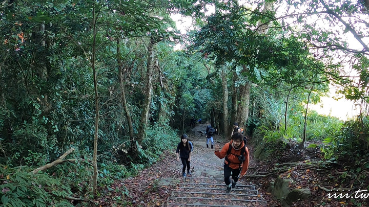 賞楓聖地・馬那邦山Y字連走細道邦山