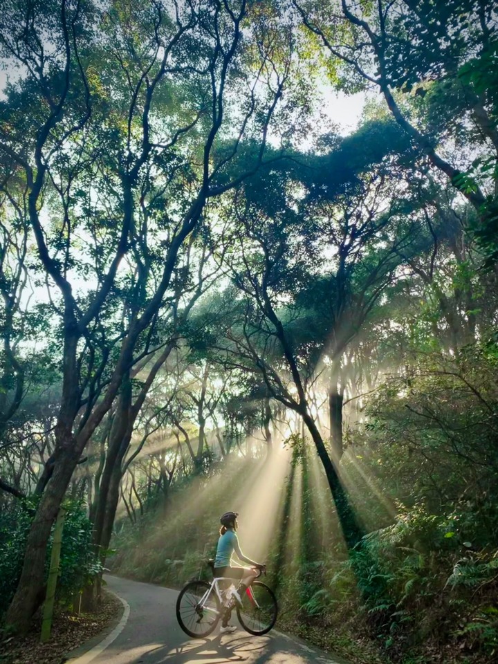 女孩兒的林口打卡私房路線