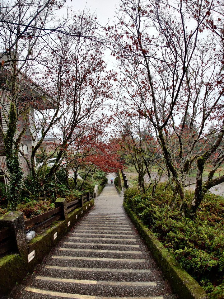 【小惡魔慶牛年】太平山莊 ◆賞星空、觀日出、曬帥照、吃美食◆ 多種夢想一次滿足!