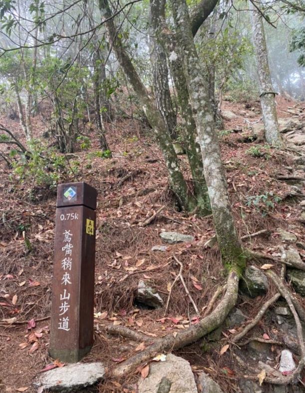 台中和平|鳶嘴山.垂直山壁攀爬拉繩,險峻危崖挑戰膽識與體能