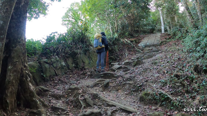 賞楓聖地・馬那邦山Y字連走細道邦山