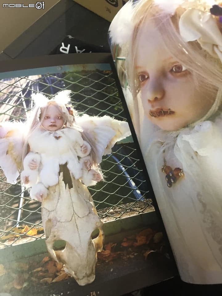 【樂淘開箱】一本台灣沒有的書 林美登利 創作人形 寫真