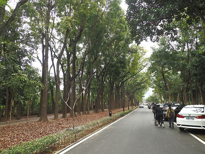 【小惡魔慶牛年】新威森林公園|茂林國家風景區管理處 — 傳說中有著異國風情的絕美婚紗秘境 — 牛年行春之旅第3站