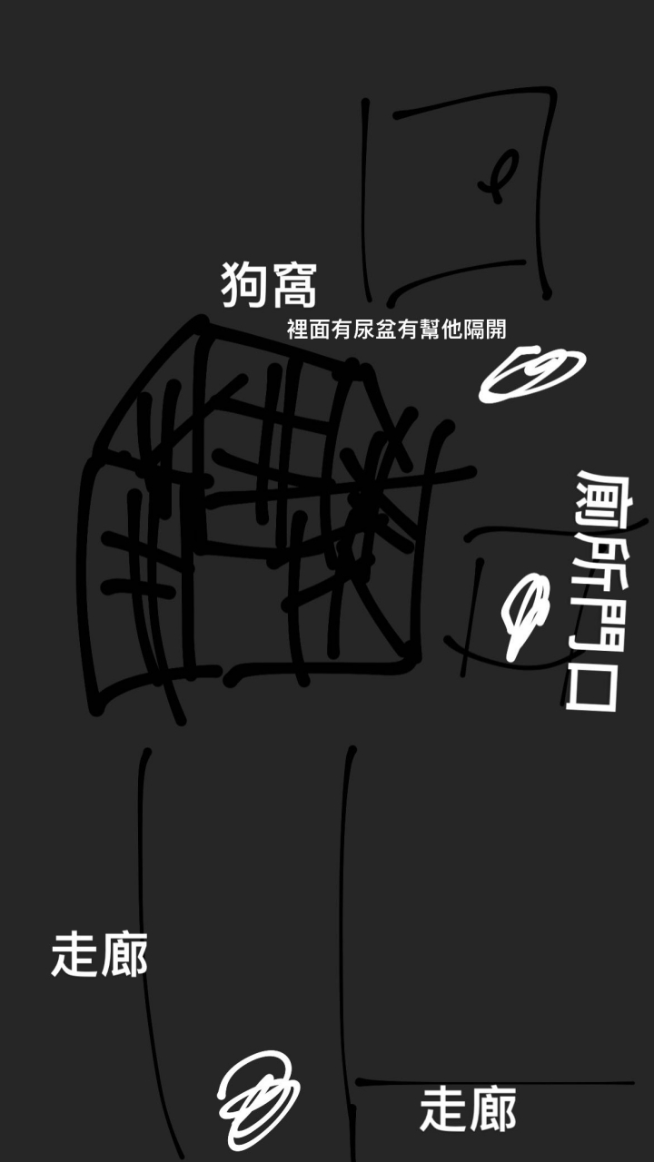 狗狗定點大小便，放出來就不會的問題
