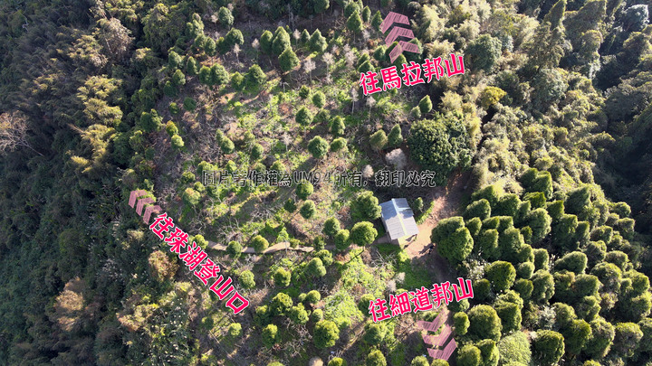 賞楓聖地・馬那邦山Y字連走細道邦山