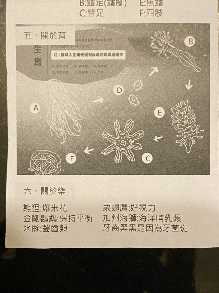 桃園Xpark水族館～附探索之謎參考解答～海豹，企鵝，鯊魚～