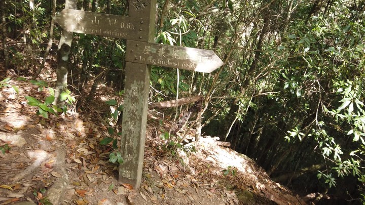 [樂山童盟] [台中和平] 谷關七雄-屋我尾山(大雪山林道登山口31.2K)