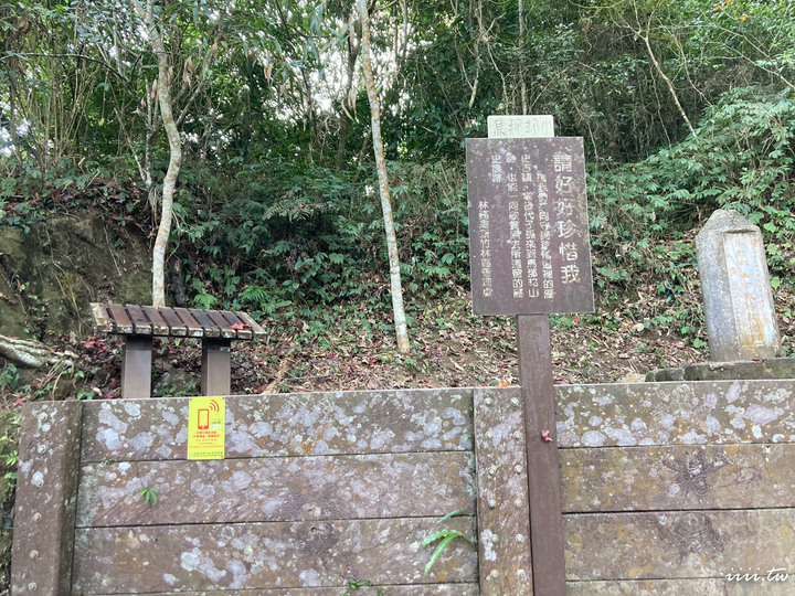 賞楓聖地・馬那邦山Y字連走細道邦山