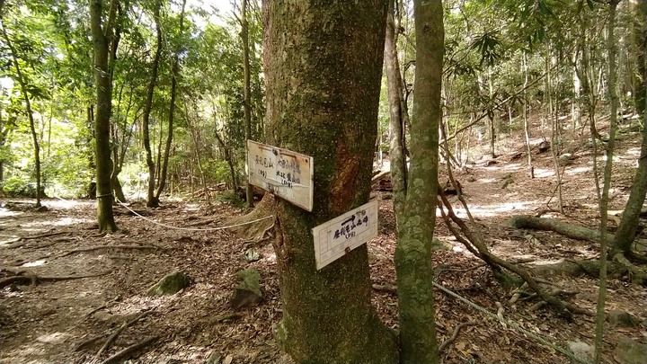[樂山童盟] [台中和平] 谷關七雄-屋我尾山(大雪山林道登山口31.2K)