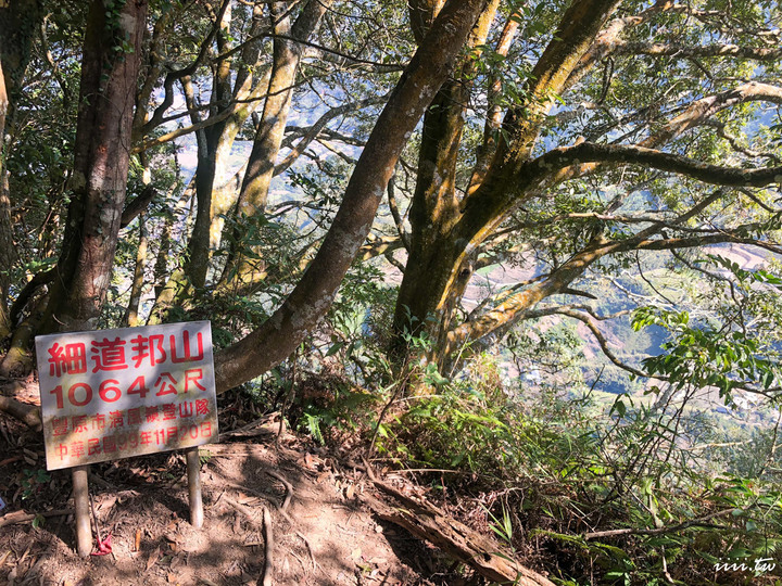 賞楓聖地・馬那邦山Y字連走細道邦山