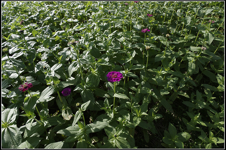 最近的一些照片