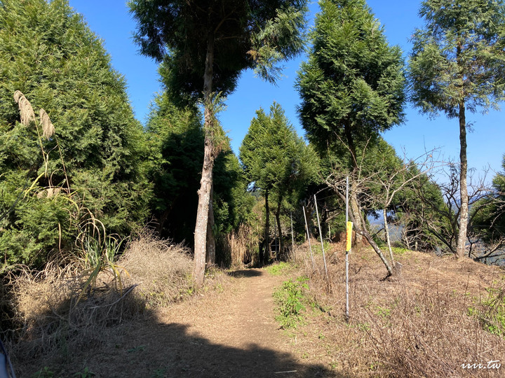 賞楓聖地・馬那邦山Y字連走細道邦山