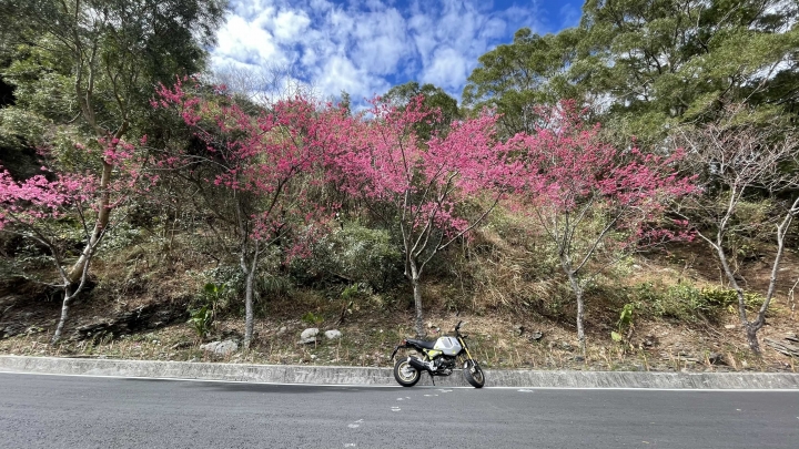 GROM125 過年前先牽先騎