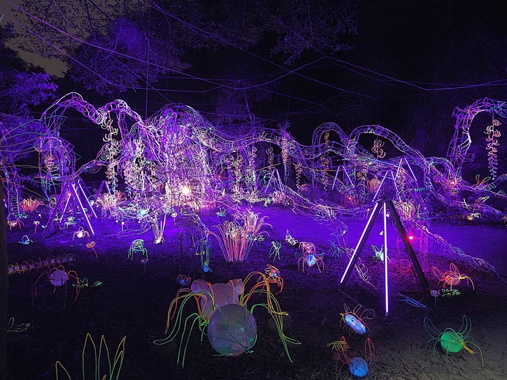 【小惡魔慶牛年】 龍崎光節「空山祭2020」 — 空山不空，有著如幻似真的光影藝術 — 鼠末牛初之防疫返鄉之旅第16站